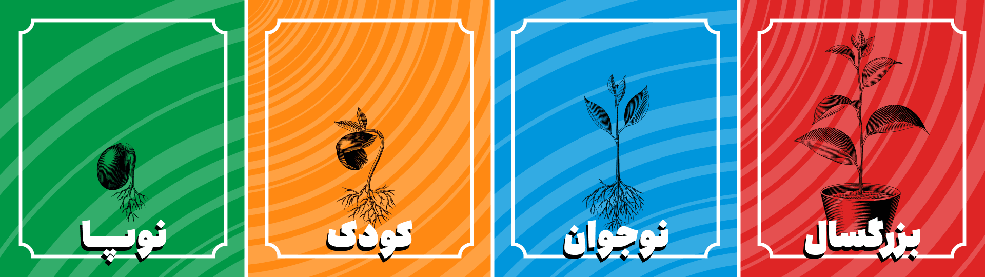 کودک
