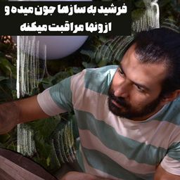 فرشید حقیقی