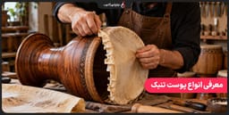 معرفی انواع پوست تنبک