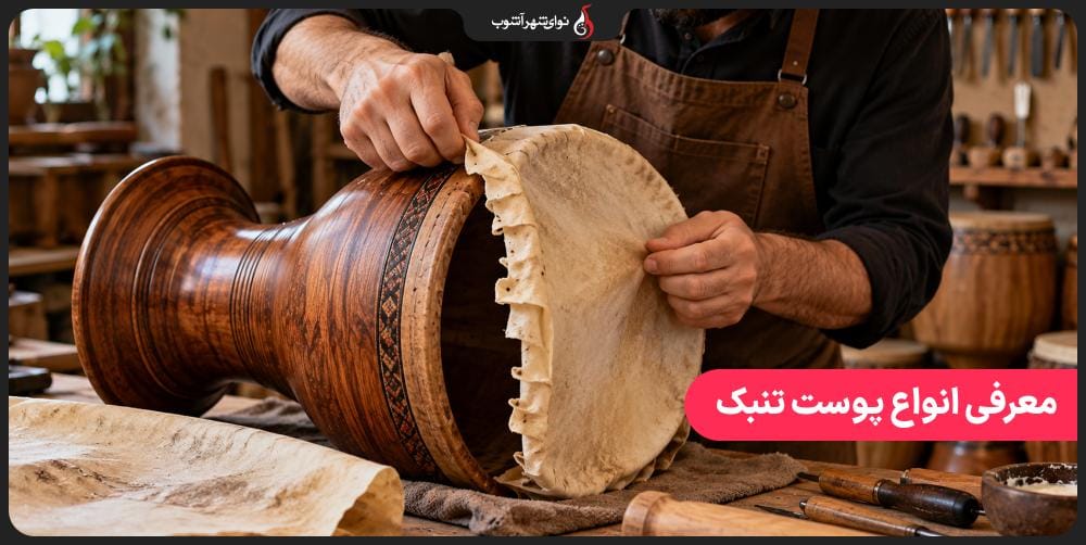 معرفی انواع پوست تنبک معرفی انواع پوست تنبک