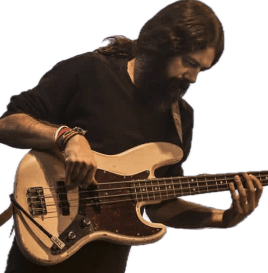 حامد حمید زاده حامد حمید زاده